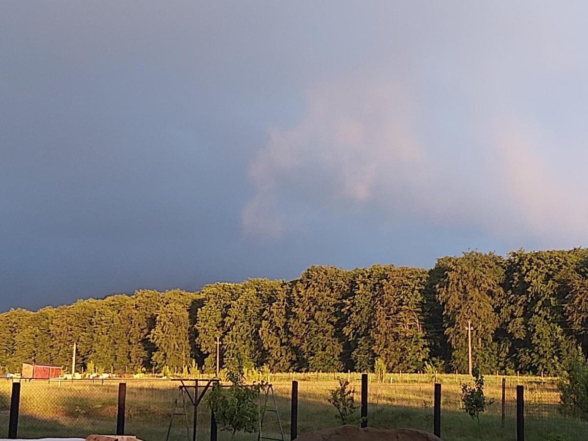 Pensiunea Maya Sîmbăta de Sus Esterno foto