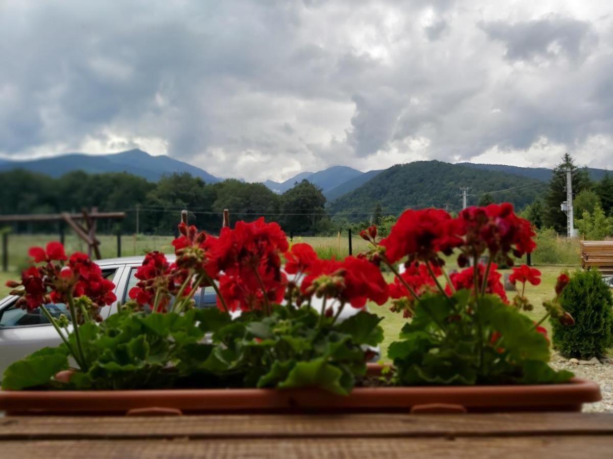 Pensiunea Maya Sîmbăta de Sus Esterno foto