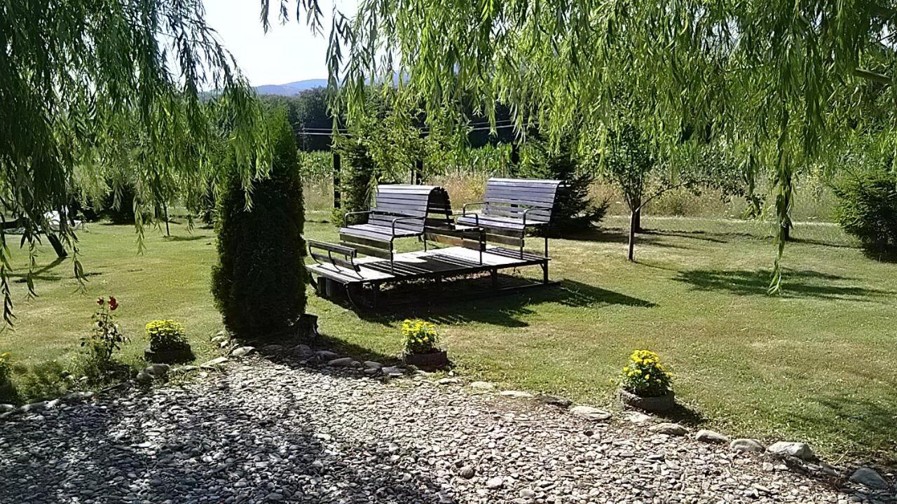 Pensiunea Maya Sîmbăta de Sus Esterno foto