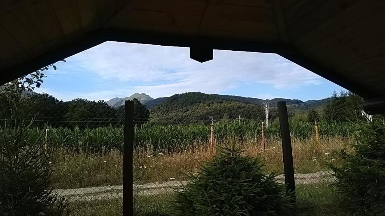 Pensiunea Maya Sîmbăta de Sus Esterno foto