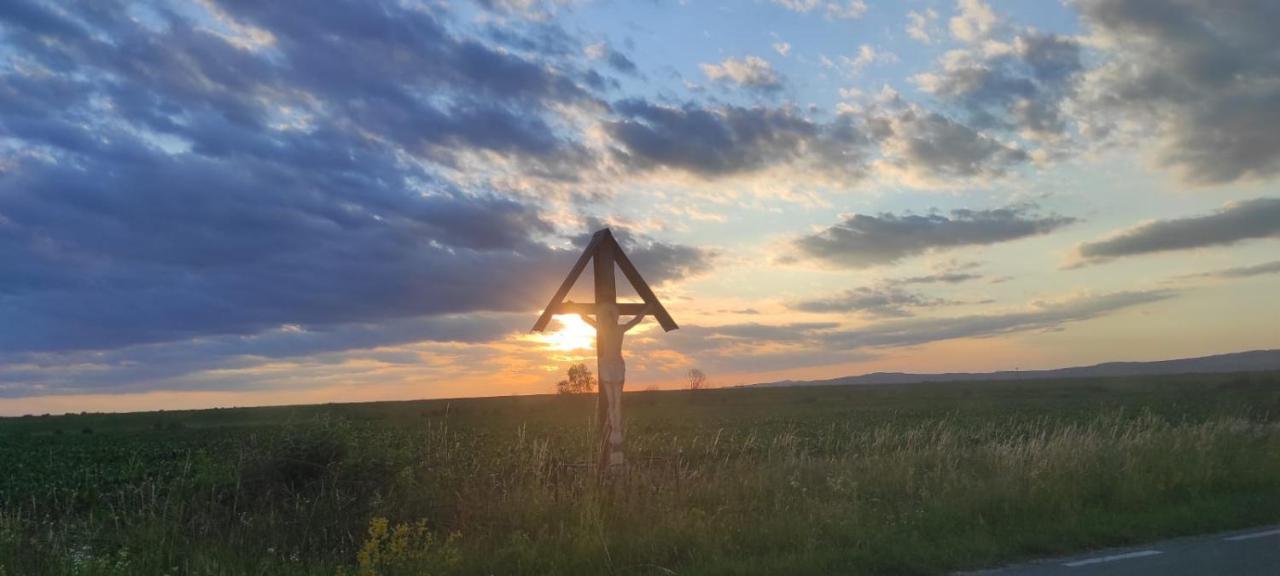 Pensiunea Maya Sîmbăta de Sus Esterno foto