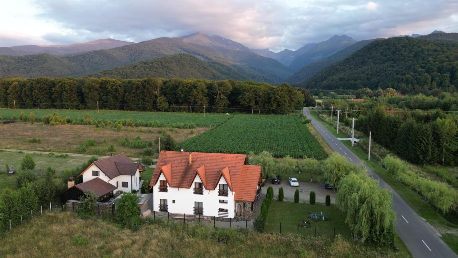 Pensiunea Maya Sîmbăta de Sus Esterno foto
