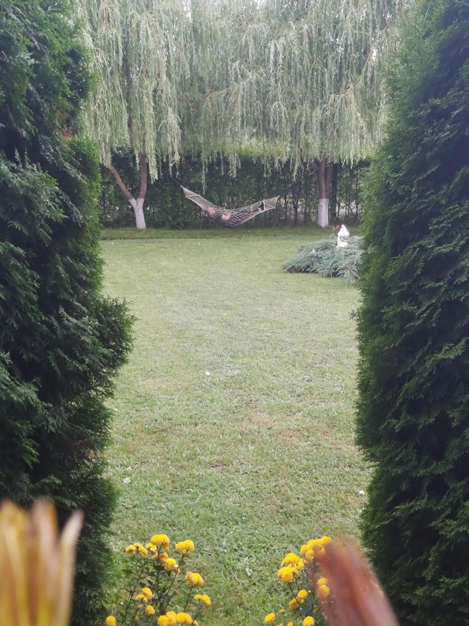 Pensiunea Maya Sîmbăta de Sus Esterno foto